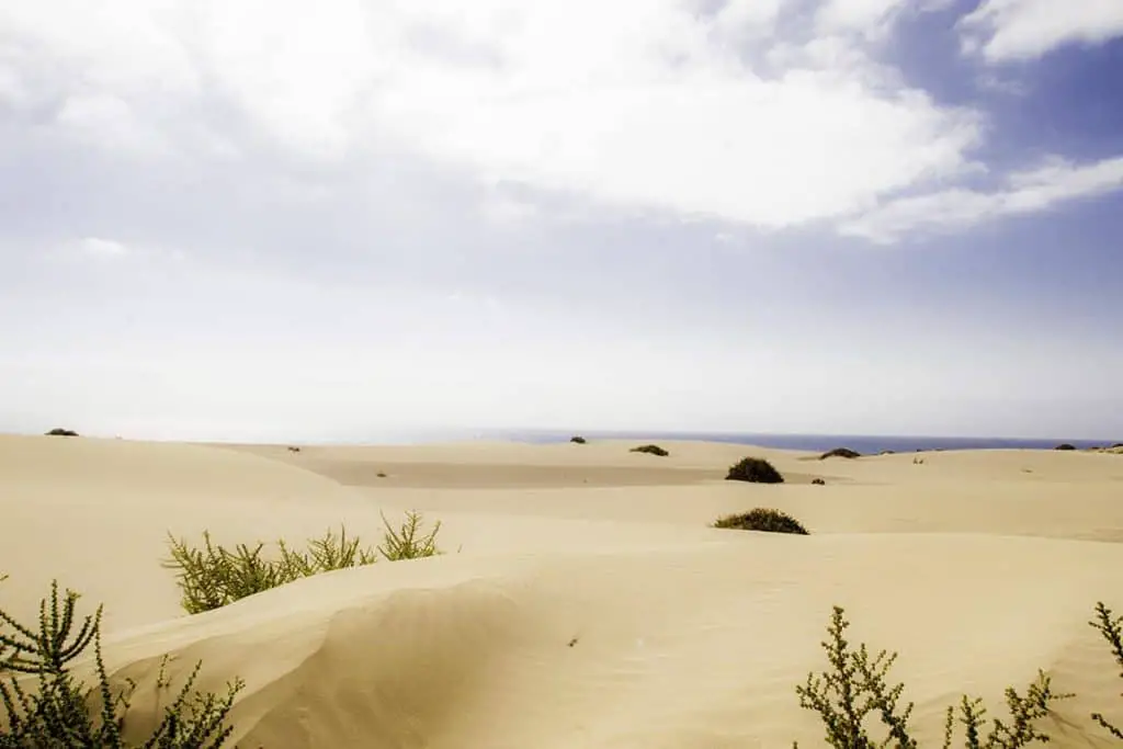 Parque Natural Las Dunas de Corralejo